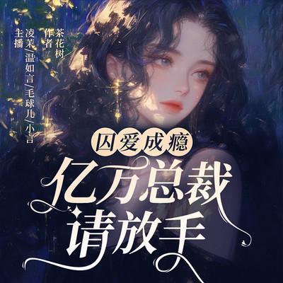 一夜欢宠：亿万老公你好坏有声小说
