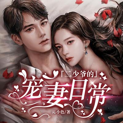 二少爷的宠妻日常有声小说