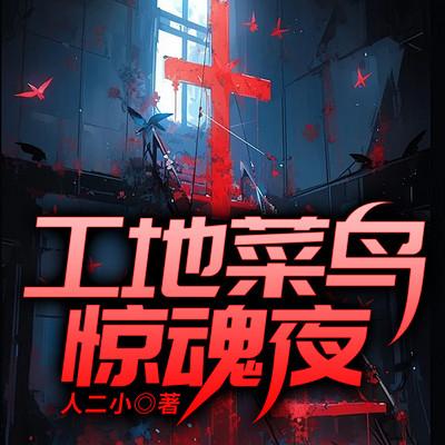 工地菜鸟惊魂夜有声小说