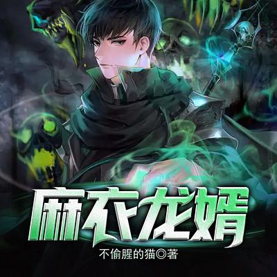 麻衣龙婿有声小说