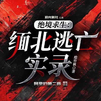 绝地求生：缅北逃亡实录有声小说