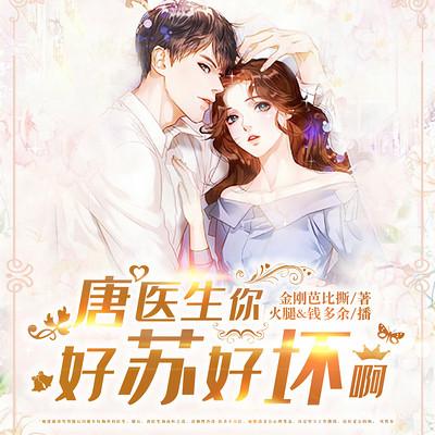 唐医生，你好苏好坏啊有声小说