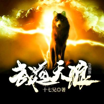武道天狼有声小说