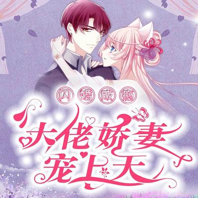 闪婚成瘾：大佬娇妻宠上天有声小说