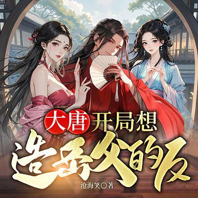 大唐：开局想造岳父的反有声小说